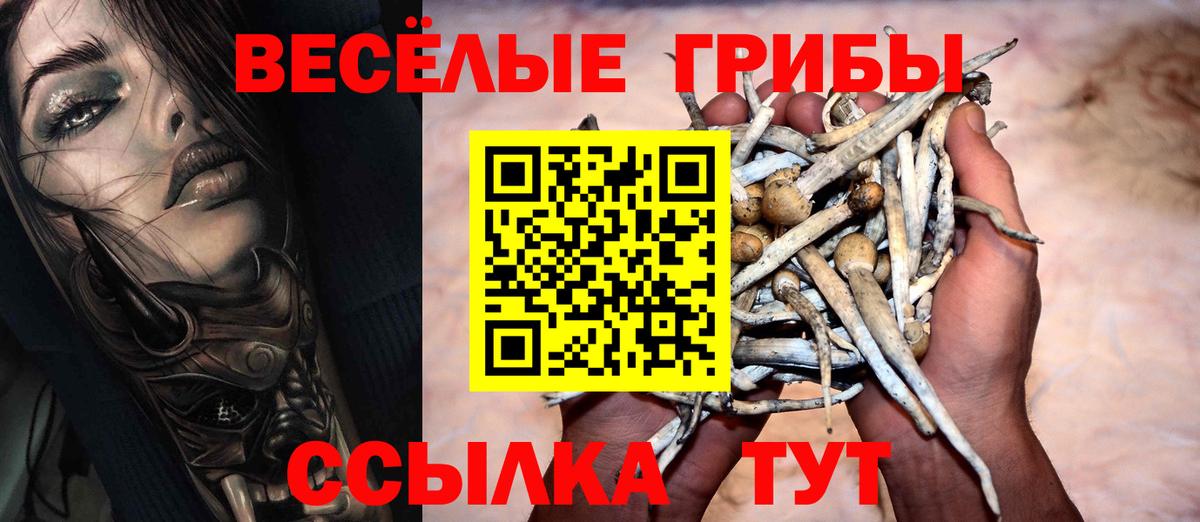 Галлюциногенные грибы Magic Shrooms  Вход с VPN  Киселёвск 